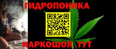 прущие крисы Обь