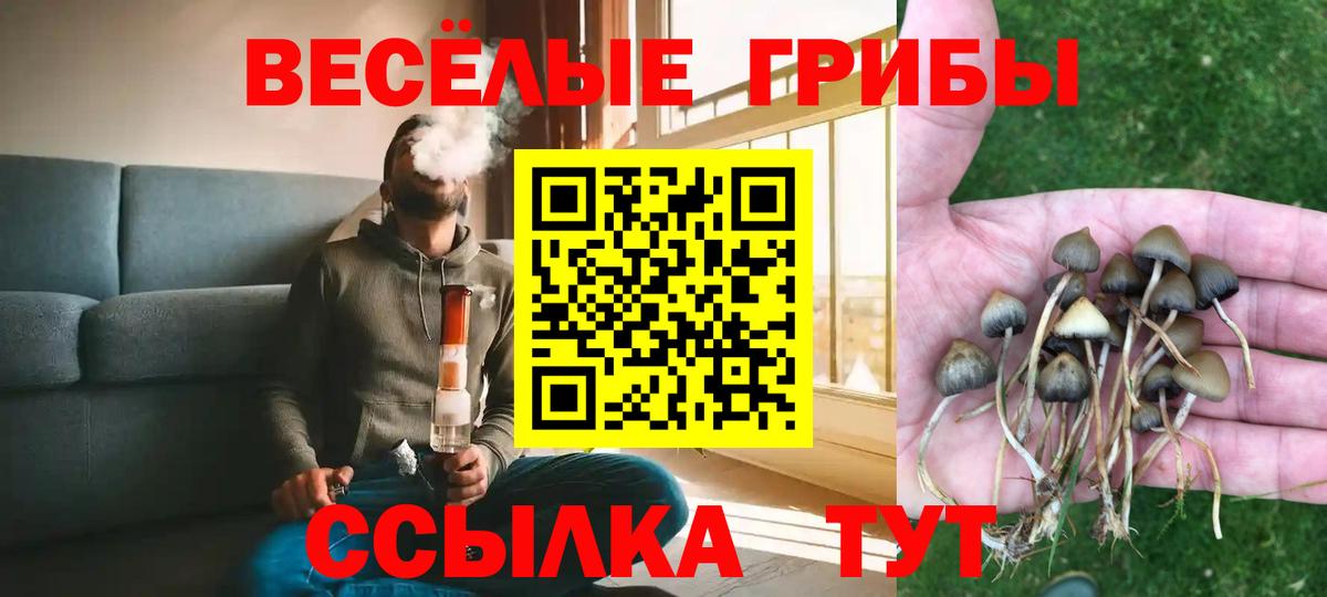 Псилоцибиновые грибы GOLDEN TEACHER  Вход с VPN  Новочебоксарск 