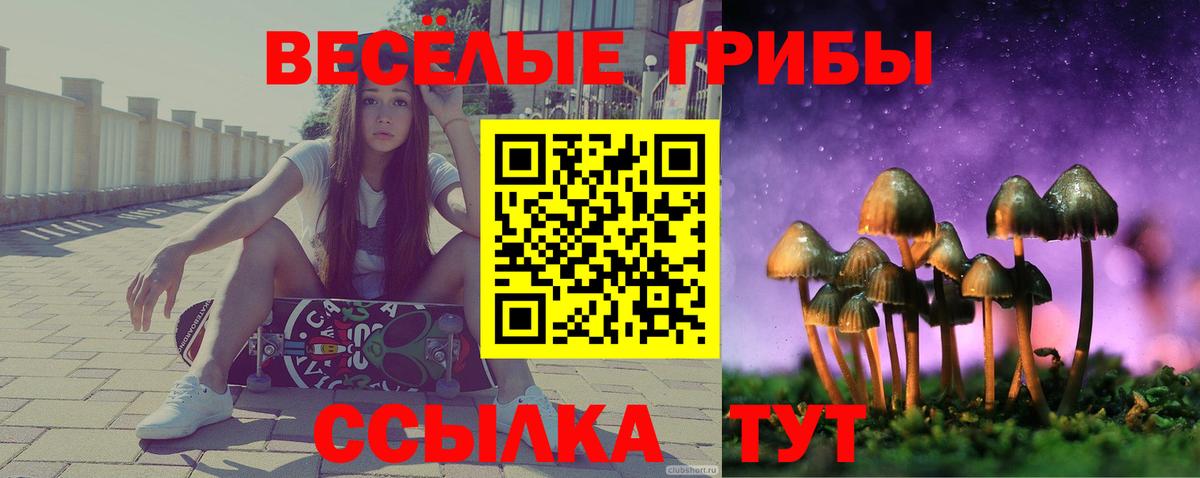МЕТ  ГАШ  A-PVP СК кристаллы  Каннабис  Вход с VPN  Новочебоксарск  Гашиш  Меф кристаллы 