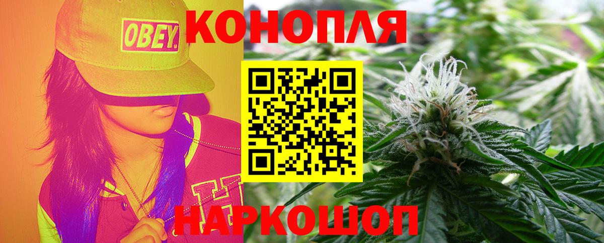 Бошки Шишки тримм  Бошки Шишки индика  Бошки Шишки ГИДРОПОН  Новочебоксарск  МАРИХУАНА MAZAR  Вход с VPN 